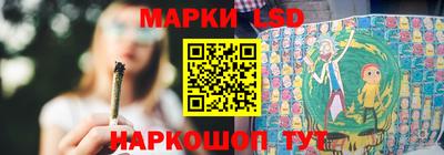индика Славгород