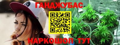 индика Славгород