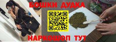 индика Славгород