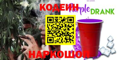 индика Славгород